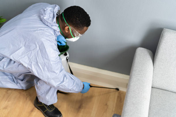 Best Termite Inspection and Treatment  in Newton, TX